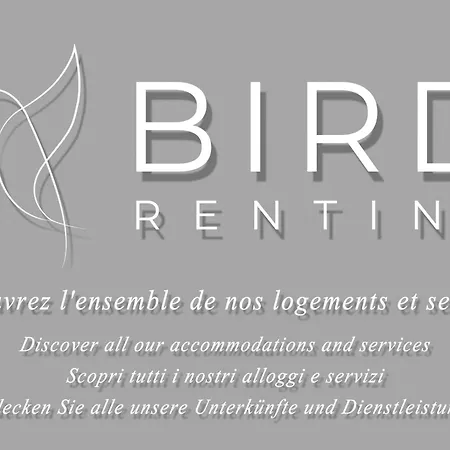 Close To The Croisette